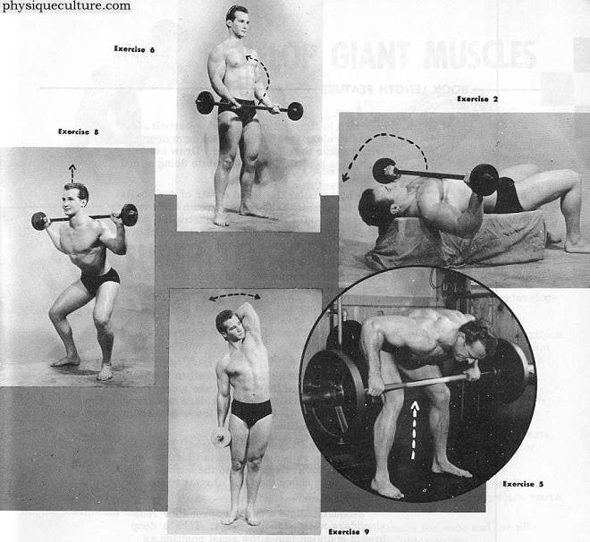 course for bodybuilders