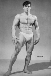 male physique muscle model