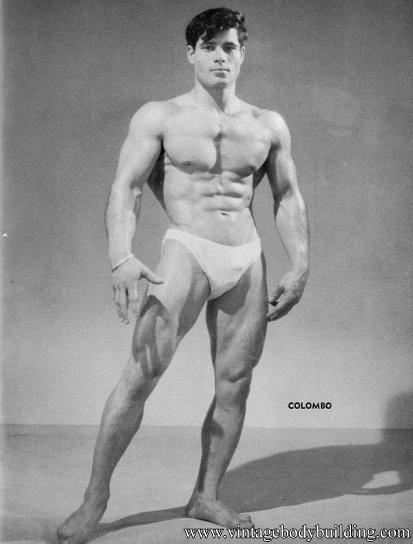 male physique muscle model