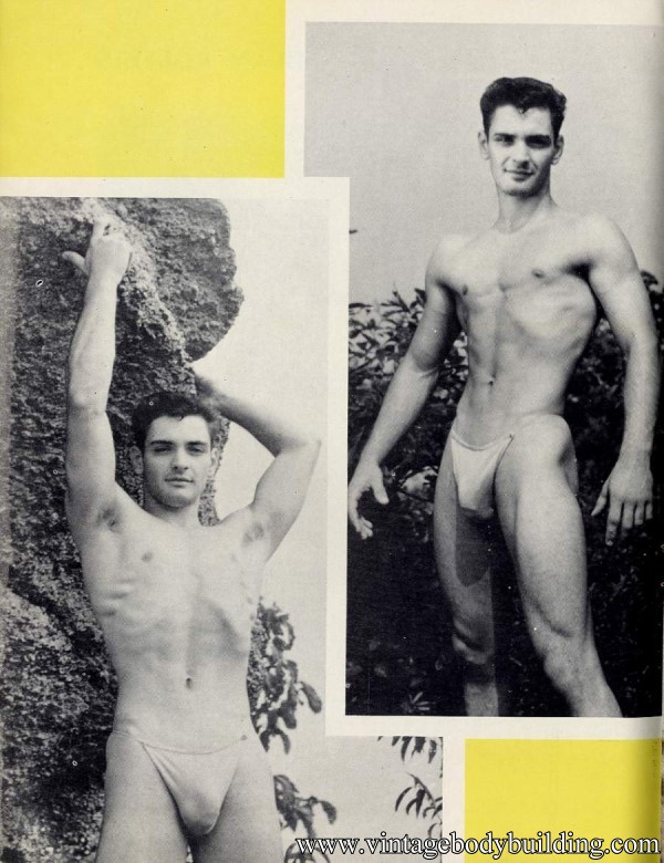 male vintage physique photo art