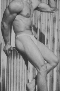 handsome vintage bodybuilder