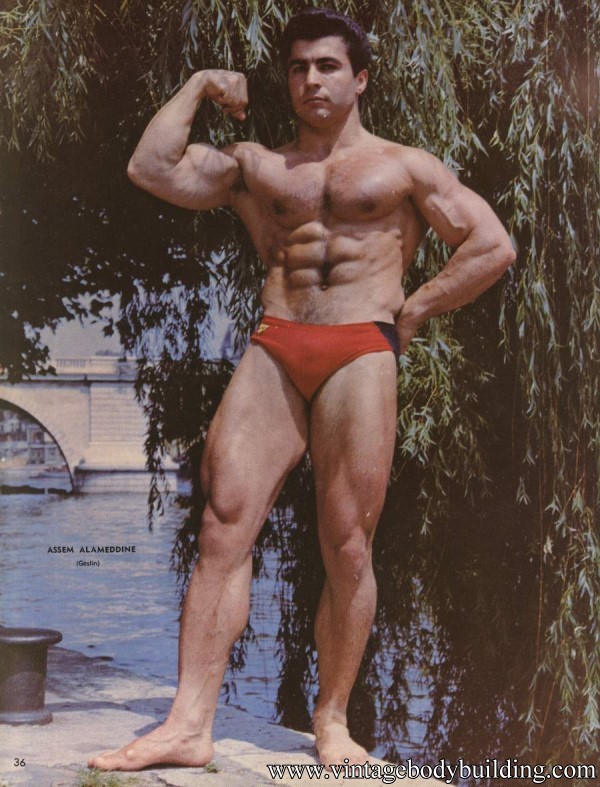 vintage physique bodybuilder colour image