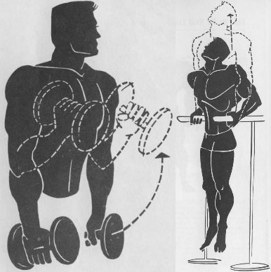 dumb bell curls and parallel bar dips simple bodybuilding exercises