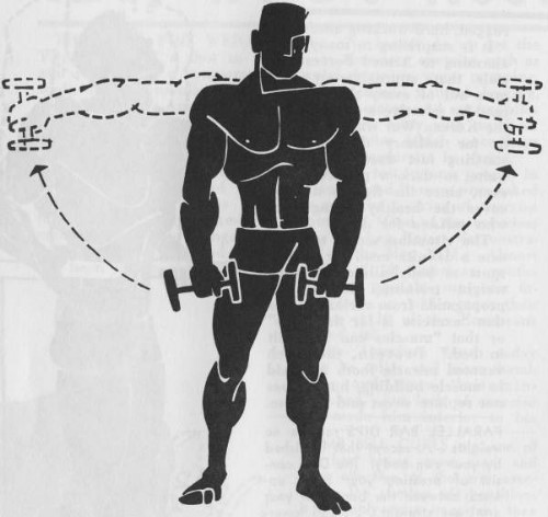 exercise for bodybuilding