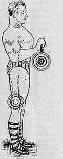forearms developing exercise exercise to develop forearms muscles