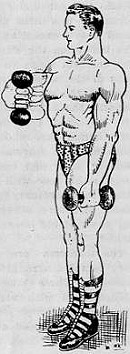 forearms exercise exercise for forearms muscles