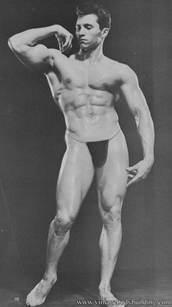 dabidean ideal in bodybuilding