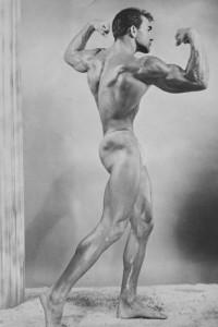 vintage physique male photo