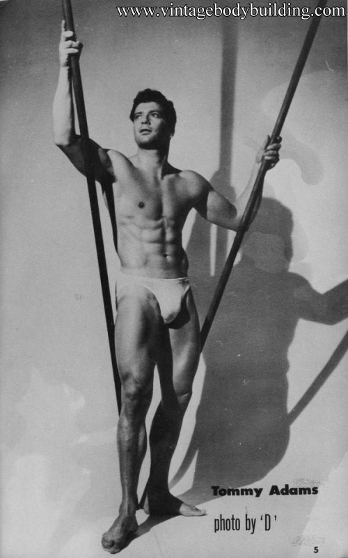 vintage physique muscle man